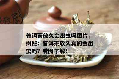 普洱茶放久会出虫吗图片，揭秘：普洱茶放久真的会出虫吗？看图熟悉！