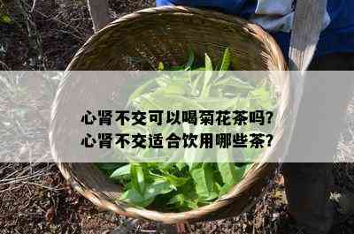 心肾不交可以喝菊花茶吗？心肾不交适合饮用哪些茶？