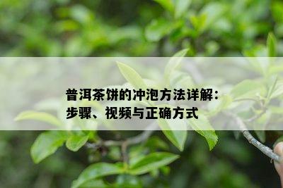 普洱茶饼的冲泡方法详解：步骤、视频与正确方式