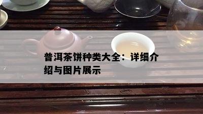 普洱茶饼种类大全：详细介绍与图片展示