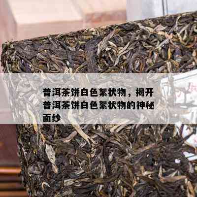 普洱茶饼白色絮状物，揭开普洱茶饼白色絮状物的神秘面纱