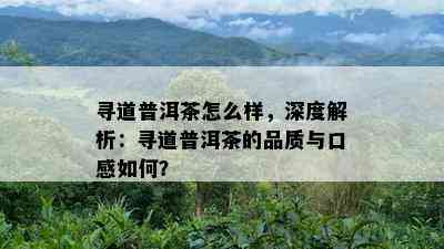 寻道普洱茶怎么样，深度解析：寻道普洱茶的品质与口感怎样？