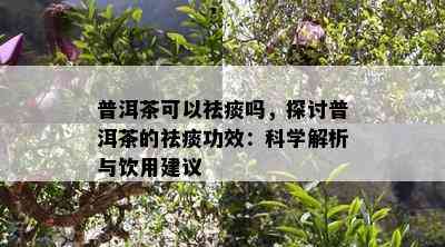 普洱茶可以祛痰吗，探讨普洱茶的祛痰功效：科学解析与饮用建议