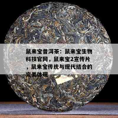 鼠来宝普洱茶：鼠来宝生物科技官网，鼠来宝2宣传片，鼠来宝传统与现代结合的完美体现