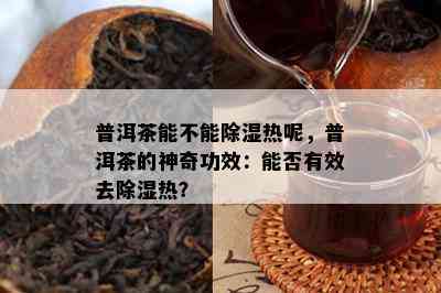 普洱茶能不能除湿热呢，普洱茶的神奇功效：能否有效去除湿热？