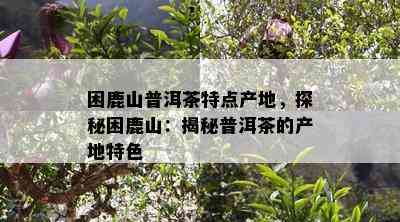 困鹿山普洱茶特点产地，探秘困鹿山：揭秘普洱茶的产地特色