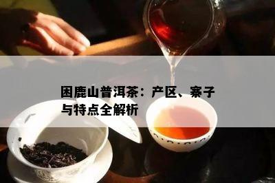 困鹿山普洱茶：产区、寨子与特点全解析