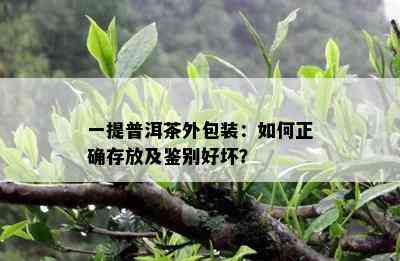 一提普洱茶外包装：怎样正确存放及鉴别好坏？