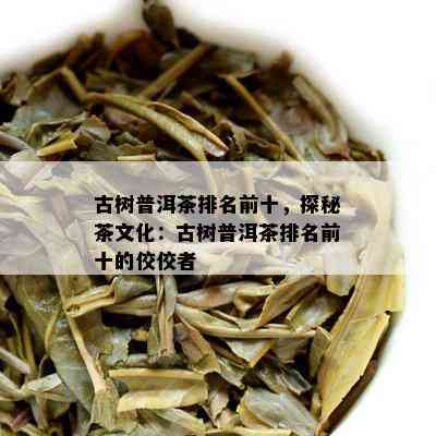 古树普洱茶排名前十，探秘茶文化：古树普洱茶排名前十的佼佼者