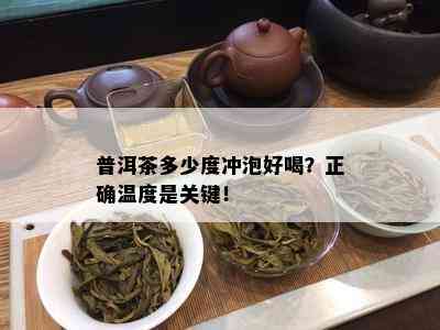 普洱茶多少度冲泡好喝？正确温度是关键！