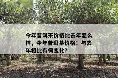 今年普洱茶价格比去年怎么样，今年普洱茶价格：与去年相比有何变化？