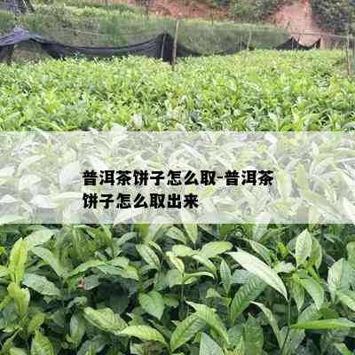 普洱茶饼子怎么取-普洱茶饼子怎么取出来