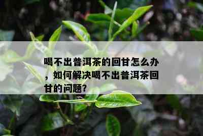 喝不出普洱茶的回甘怎么办，如何解决喝不出普洱茶回甘的问题？