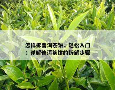 怎样拆普洱茶饼，轻松入门：详解普洱茶饼的拆解步骤