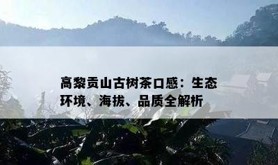 高黎贡山古树茶口感：生态环境、海拔、品质全解析