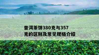 普洱茶饼380克与357克的区别及常见规格介绍