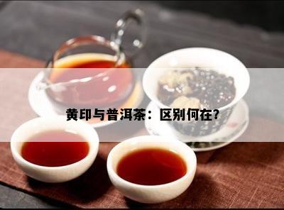 黄印与普洱茶：区别何在？