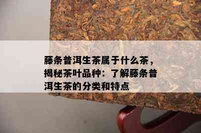 藤条普洱生茶属于什么茶，揭秘茶叶品种：熟悉藤条普洱生茶的分类和特点