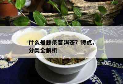 什么是藤条普洱茶？特点、分类全解析