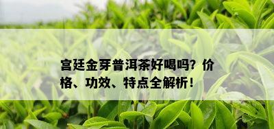 宫廷金芽普洱茶好喝吗？价格、功效、特点全解析！