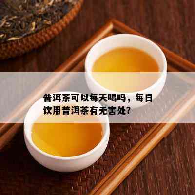 普洱茶可以每天喝吗，每日饮用普洱茶有无害处？