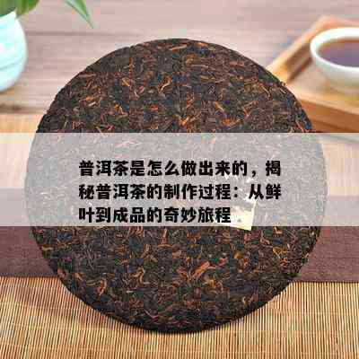 普洱茶是怎么做出来的，揭秘普洱茶的制作过程：从鲜叶到成品的奇妙旅程