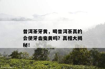 普洱茶牙黄，喝普洱茶真的会使牙齿变黄吗？真相大揭秘！