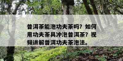 普洱茶能泡功夫茶吗？如何用功夫茶具冲泡普洱茶？视频讲解普洱功夫茶泡法。