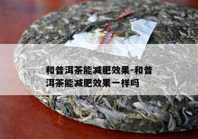 和普洱茶能减肥效果-和普洱茶能减肥效果一样吗