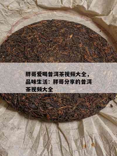 胖哥爱喝普洱茶视频大全，品味生活：胖哥分享的普洱茶视频大全