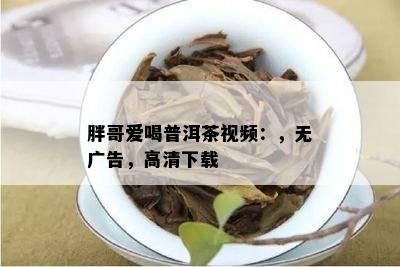 胖哥爱喝普洱茶视频：，无广告，高清下载