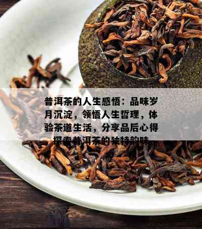 普洱茶的人生感悟：品味岁月沉淀，领悟人生哲理，体验茶道生活，分享品后心得，探索普洱茶的独特韵味。