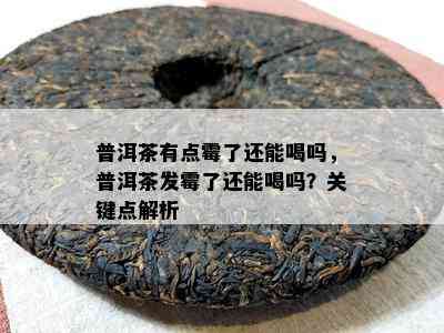 普洱茶有点霉了还能喝吗，普洱茶发霉了还能喝吗？关键点解析