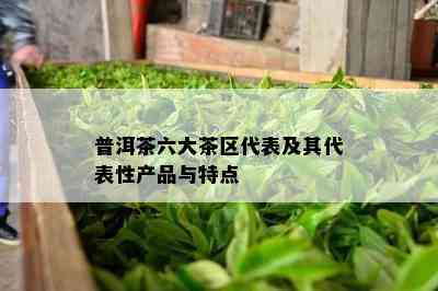 普洱茶六大茶区代表及其代表性产品与特点