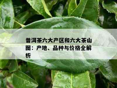 普洱茶六大产区和六大茶山图：产地、品种与价格全解析