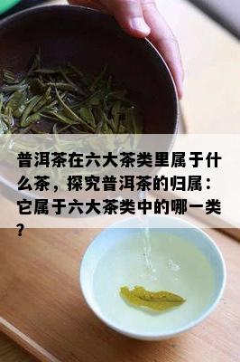 普洱茶在六大茶类里属于什么茶，探究普洱茶的归属：它属于六大茶类中的哪一类？