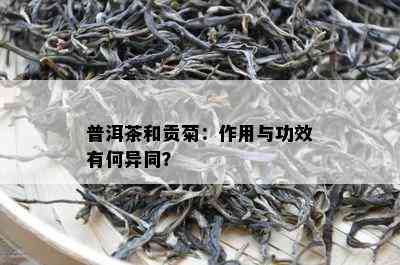 普洱茶和贡菊：作用与功效有何异同？