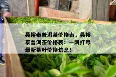 吴裕泰普洱茶价格表，吴裕泰普洱茶价格表：一网打尽最新茶叶价格信息！