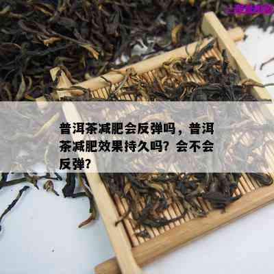 普洱茶减肥会反弹吗，普洱茶减肥效果持久吗？会不会反弹？