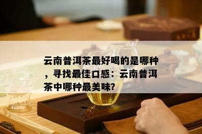 云南普洱茶更好喝的是哪种，寻找更佳口感：云南普洱茶中哪种最美味？