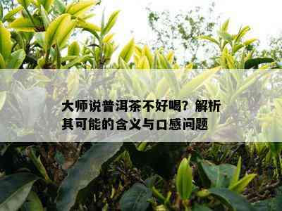 大师说普洱茶不好喝？解析其可能的含义与口感问题