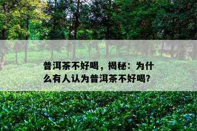 普洱茶不好喝，揭秘：为什么有人认为普洱茶不好喝？