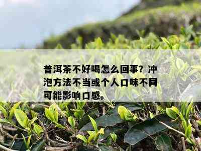 普洱茶不好喝怎么回事？冲泡方法不当或个人口味不同可能影响口感。