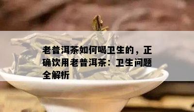 老普洱茶如何喝卫生的，正确饮用老普洱茶：卫生问题全解析