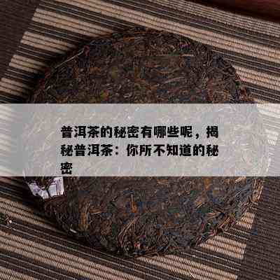 普洱茶的秘密有哪些呢，揭秘普洱茶：你所不知道的秘密