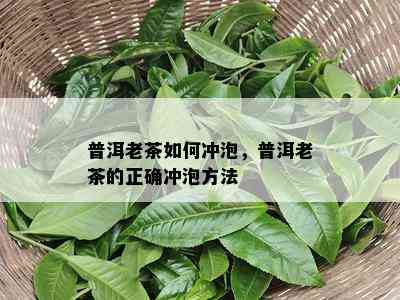 普洱老茶如何冲泡，普洱老茶的正确冲泡方法