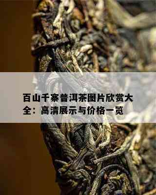 百山千寨普洱茶图片欣赏大全：高清展示与价格一览