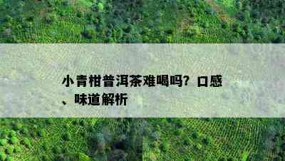 小青柑普洱茶难喝吗？口感、味道解析