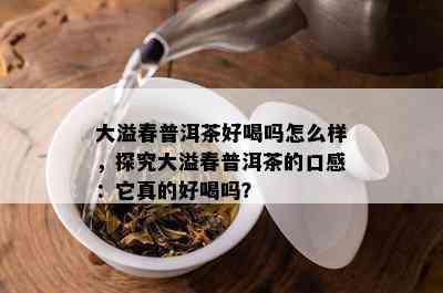 大溢春普洱茶好喝吗怎么样，探究大溢春普洱茶的口感：它真的好喝吗？