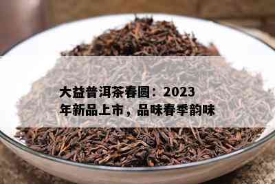 大益普洱茶春圆：2023年新品上市，品味春季韵味